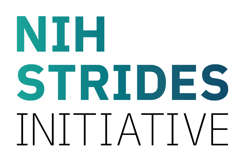 STRIDES Initiative wordmark